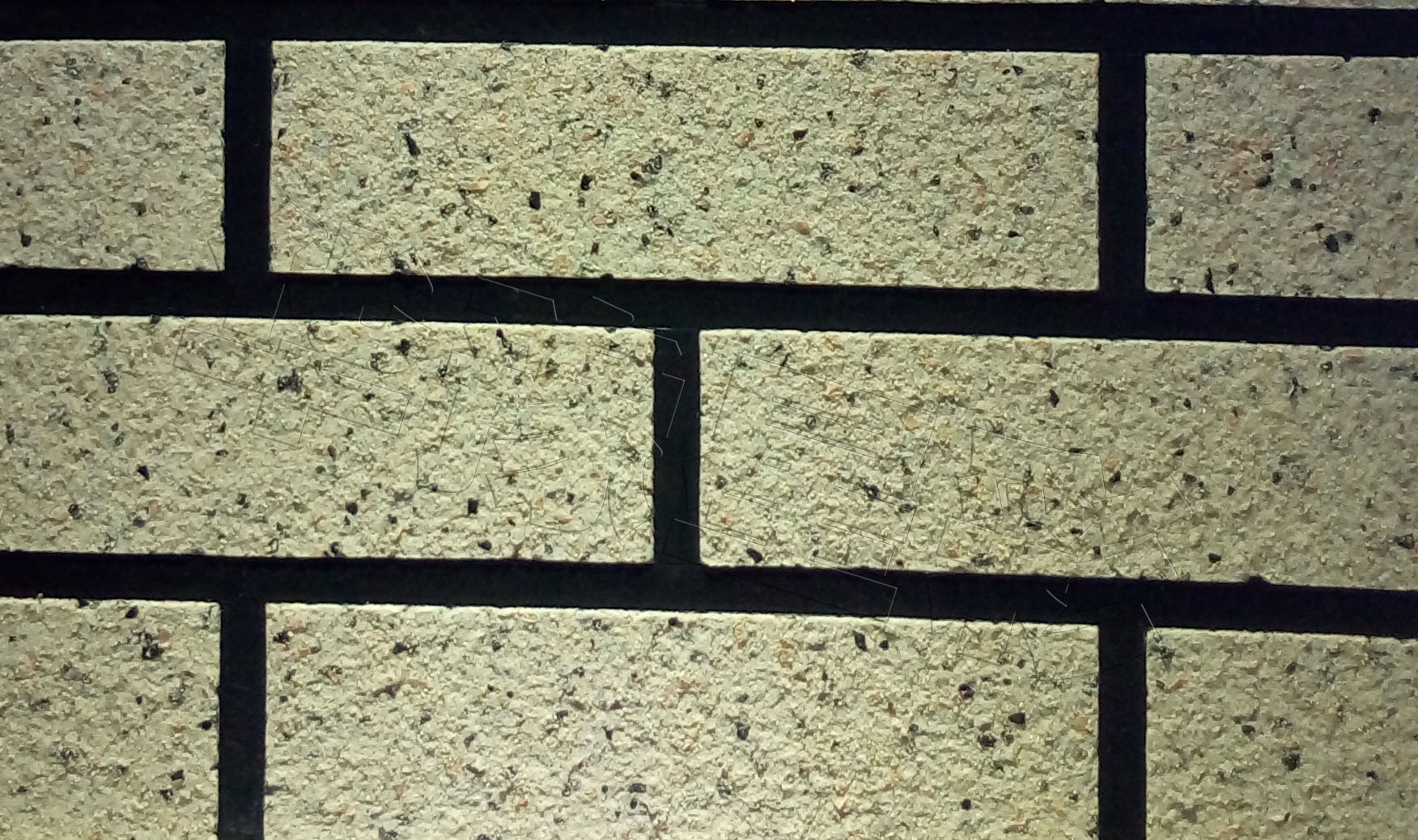 1557028520614063.jpg 1557028520614063.jpg